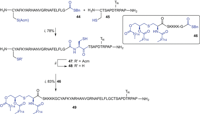 scheme 7