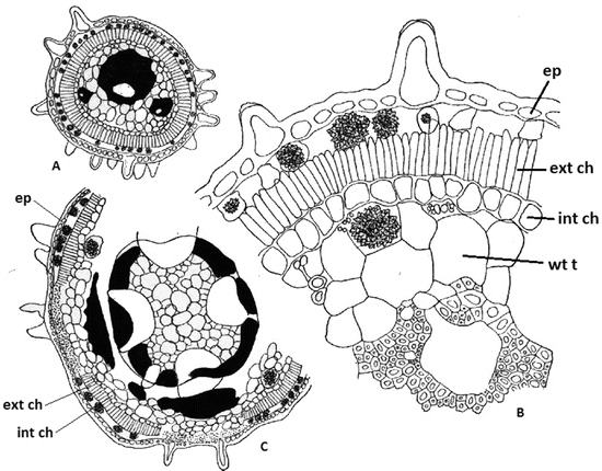 figure 25