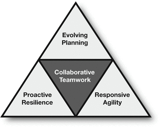 Collaborative Teamwork: Cultivate and Sustain Collaboration by Focusing on  the Individual, the Team, and the Work | SpringerLink