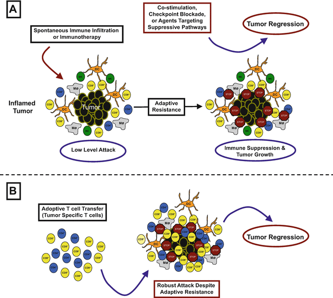 Adaptive Resistance to Cancer Immunotherapy | SpringerLink
