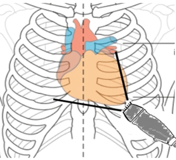 essential anatomy 3 windows links essential anatomy 3 windows links