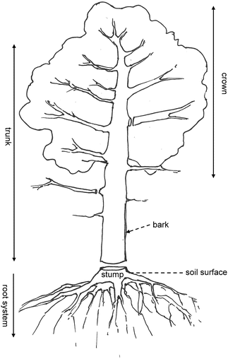 figure 21