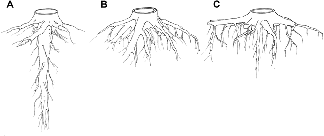 figure 22