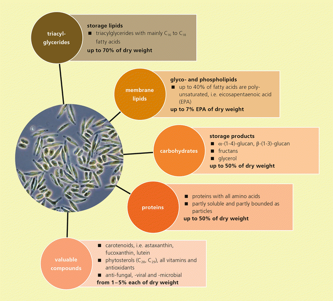 figure 34