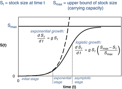 figure 35