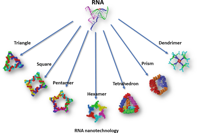 RNA Nanotechnology | SpringerLink