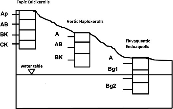 figure 15