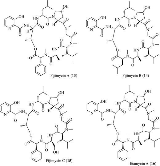 figure e