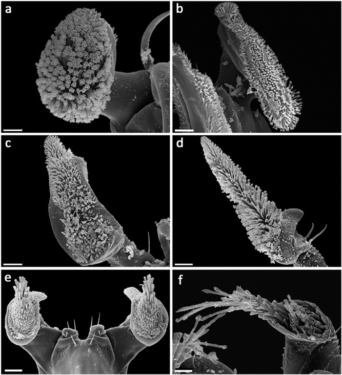 figure 24