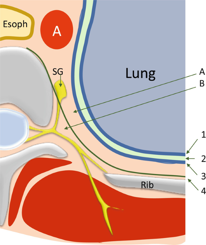 figure 26