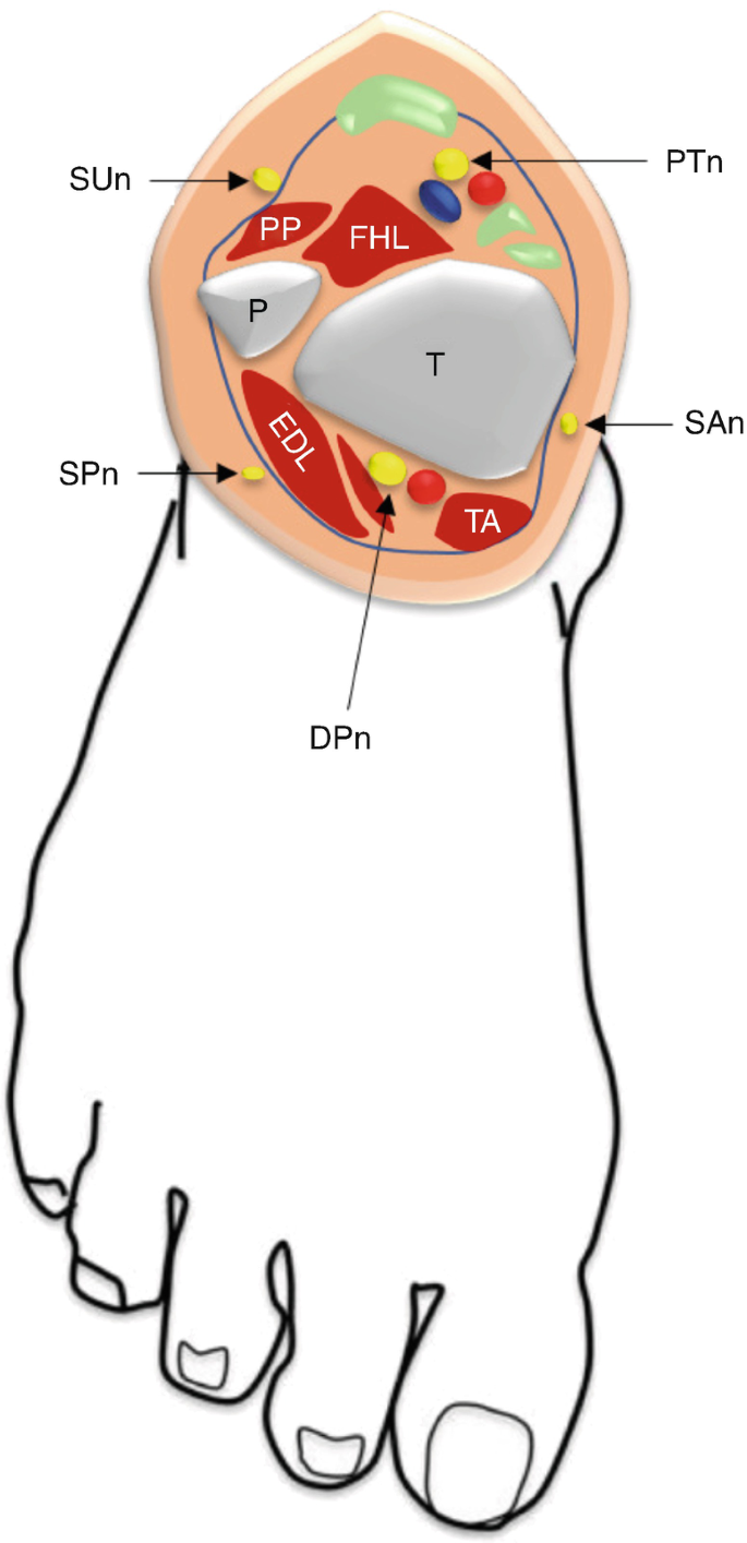 figure 53