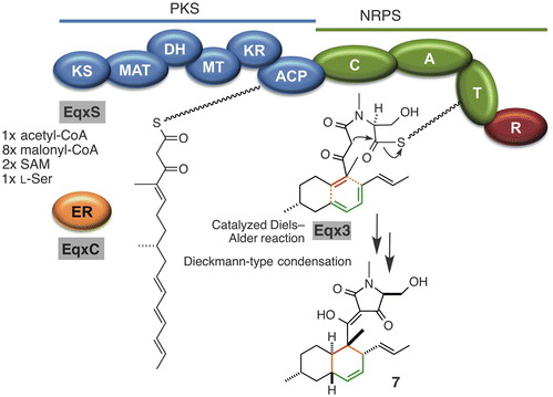 figure 11