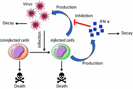 figure 23