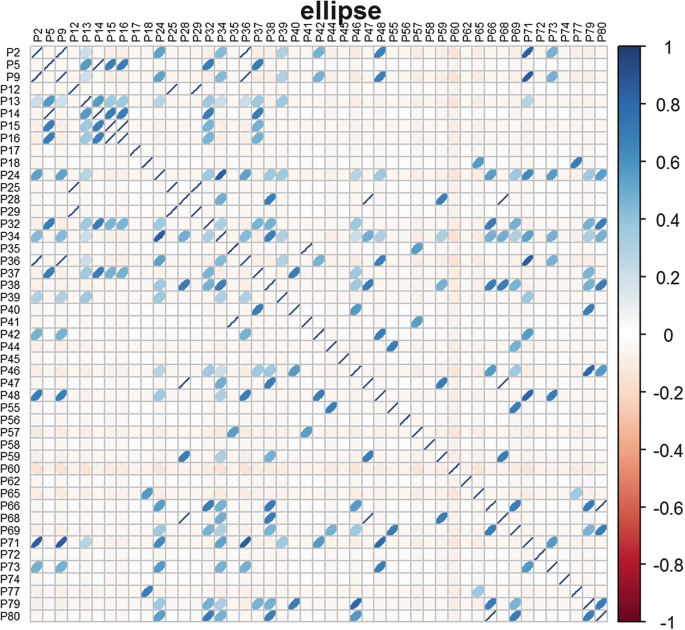 figure 28