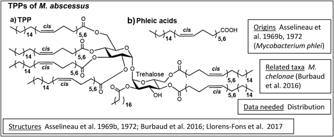 figure 17