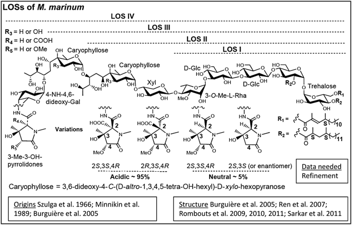 figure 20