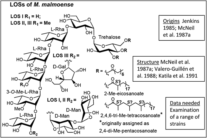 figure 22