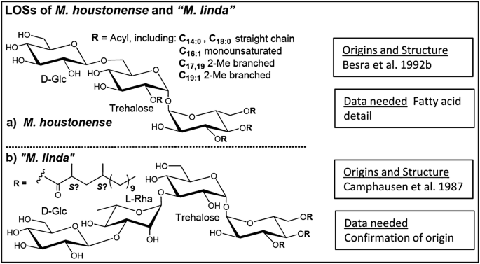 figure 24