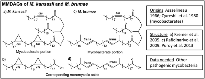 figure 25