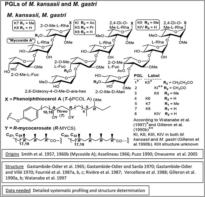 figure 29