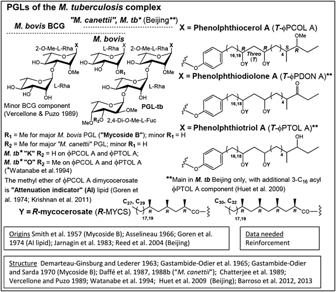 figure 30