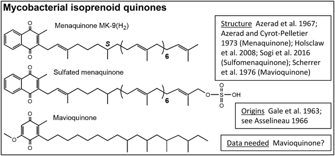 figure 41