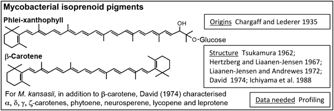 figure 42