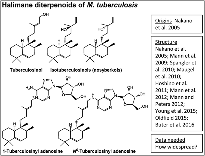 figure 44