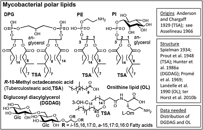 figure 45