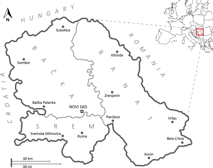 Vojvodina, Serbia  Satellite Imagery and Art - Satellite Art Institute