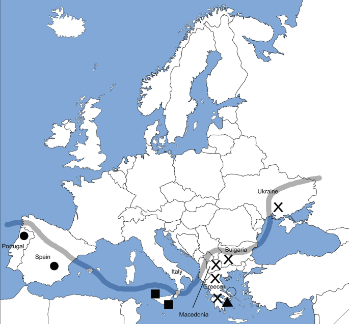 Regional Arachnogeography | SpringerLink