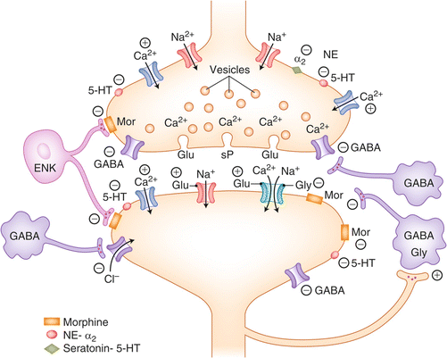 figure 26