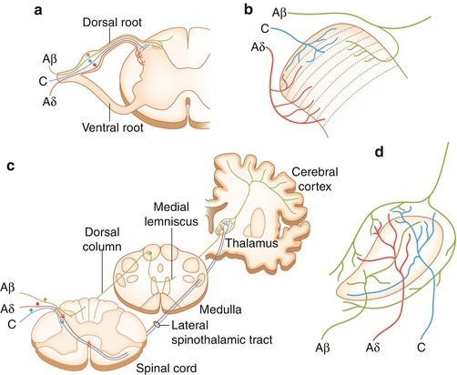 figure 28