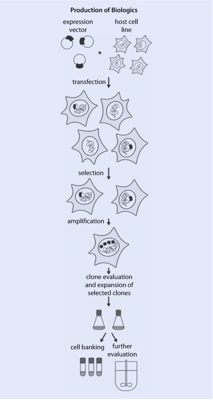 Cell Culture Bioprocess Technology: Biologics and Beyond | SpringerLink