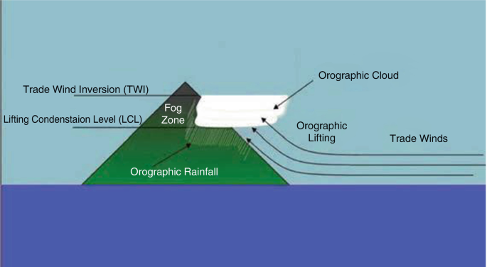 figure 43