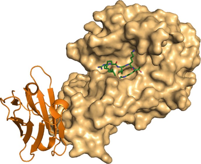 figure 14