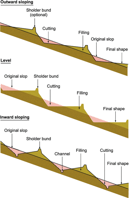 Harvesting situation on flat terrain (site A) and steep slope