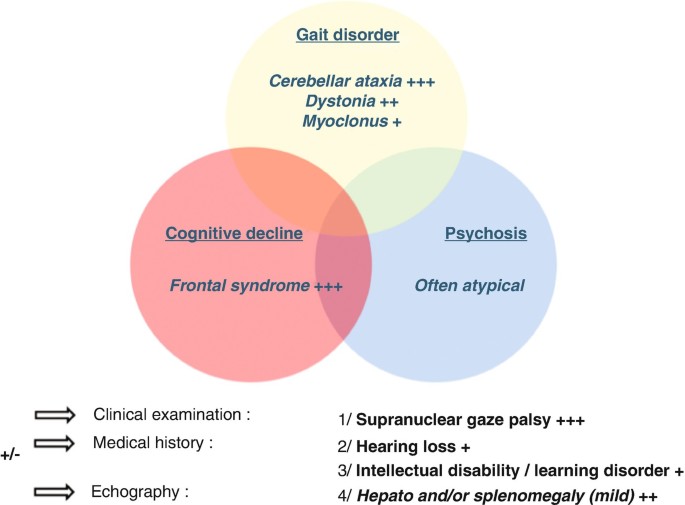 Adult onset Niemann-Pick disease type C presenting with psychosis