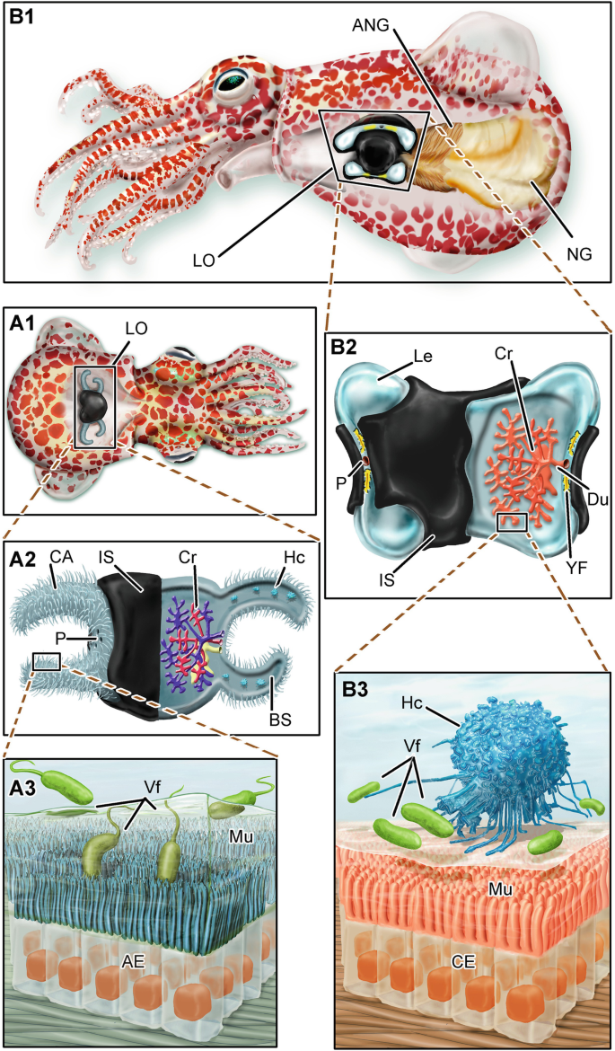 figure 20