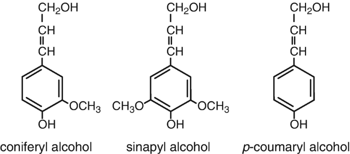 pădure genetic grafic filtre na alkohol zilina Semn Contractant Inutil