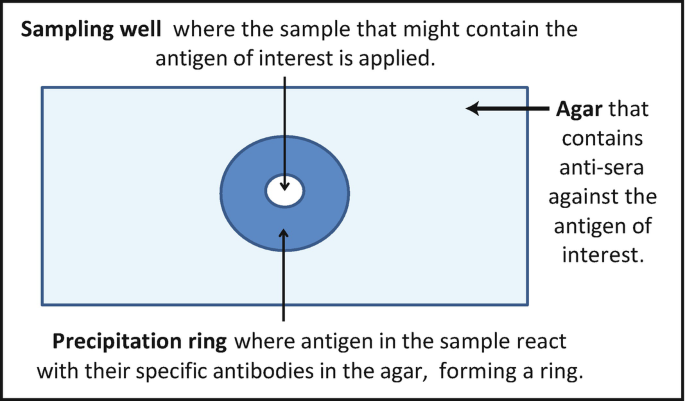 Ring interface test  2) Micro precipitin test In this test grids are... |  Download Scientific Diagram