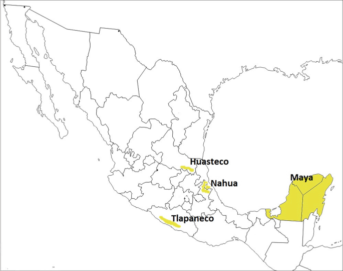 The Past, Present, and Future of Meliponiculture in Mexico | SpringerLink The Past, Present, and Future of Meliponiculture in Mexico | SpringerLink