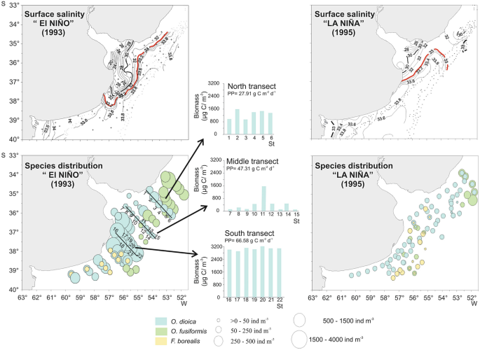 Ecological Role Of Common Appendicularian Species From Shelf Waters Off Argentina Springerlink