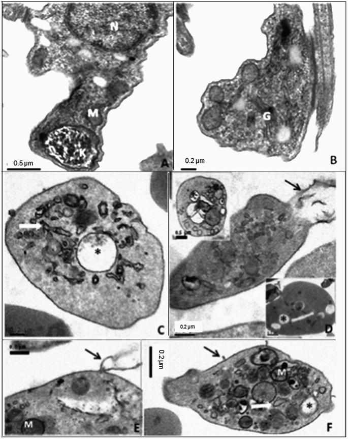 figure 15