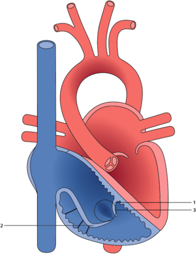 figure 16