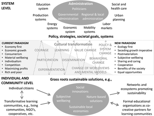 The oval-shape and periodic line of the strategy of the level of systems of education, production, policies, current paradigm, and individual and community level with social and economic causes.