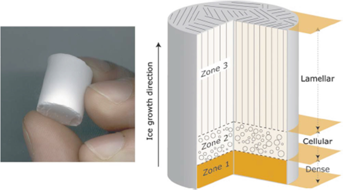 Diametral compression for dense and porous bioceramic composites.