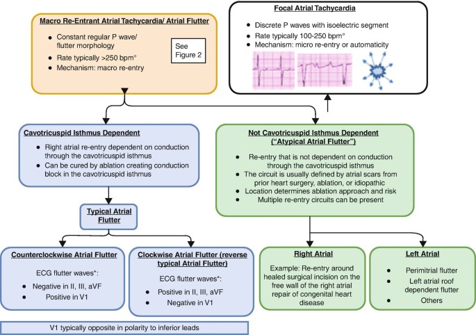 Atrial Flutter Treatments and Home Remedies