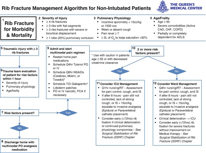 Rib Fracture Management Algorithm for the Traumatically Injured,  Non-intubated Patient | SpringerLink