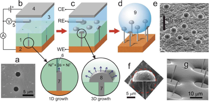 figure 17